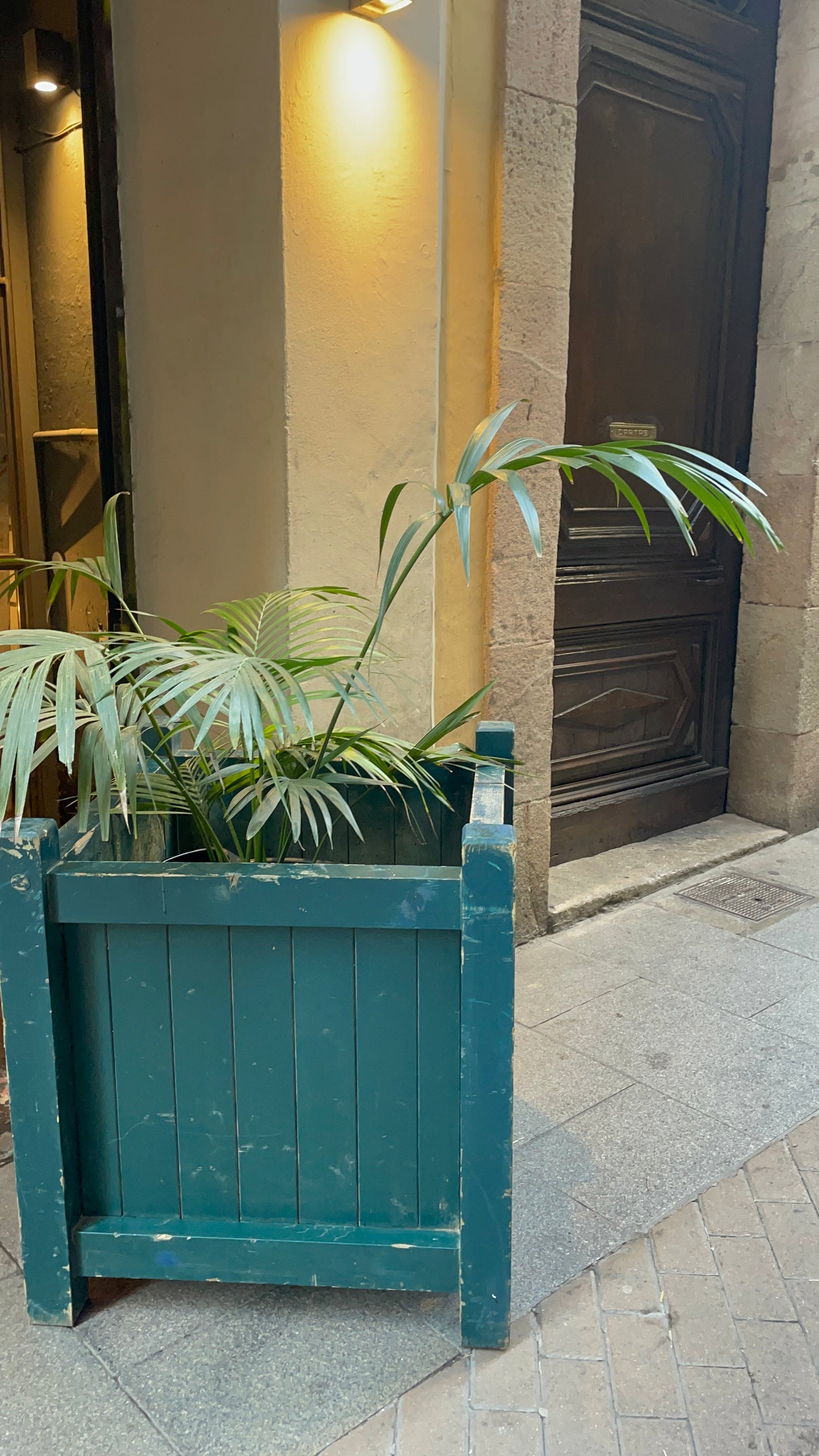 Macetero XXL