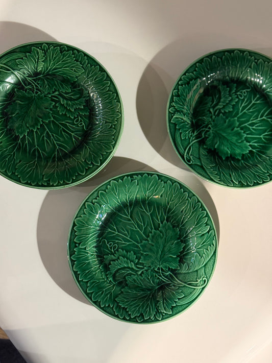 Platos verdes