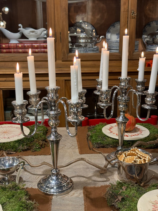 Pareja de candelabros plateados de 5 brazos