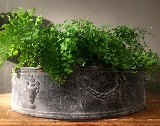 Jardinera de plomo
